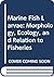 Marine Fish Larvae: Morphology, Ecology, and Relation to Fisheries