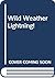 Lightning! (Wild Weather)