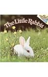 The Little Rabbit by Judy Dunn