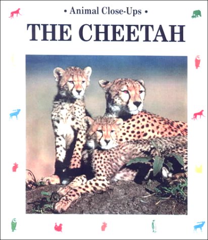 Cheetah (Paperback)