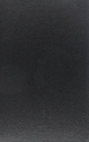 The Raven and Other Poems