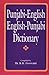 Punjabi-English/English-Punjabi Dictionary