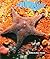 A Sea Star