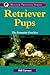 Retriever Pups: The Formative First Year (Master Training Series)