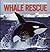 Whale Rescue: Changing the Future for Endangered Wildlife (Animal Rescue)