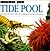 Tide Pool