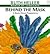 Behind The Mask: A Book About Prepositions (Turtleback School & Library Binding Edition)