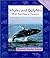 Whales and Dolphins : What They Have in Common