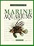 Marine Aquariums: A Complet...