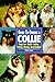 Guide to Owning a Collie: P...