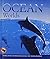 Ocean Worlds