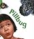 Pillbug