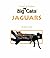 Jaguars (Big Cats)