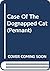 Case of the Dognapped Cat