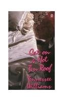 Cat on Hot Tin Roof