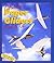 Fabulous Paper Gliders