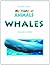 Whales (My World of Animals)
