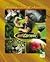 The Jeff Corwin Experience - Spanish - Dentro De La Amazonia Salvaje