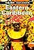 Lonely Planet Eastern Caribbean