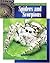 Spiders and Scorpions (Science Around Us)