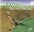 Praying Mantises (Insects)