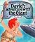 David's Adventure with the ...