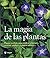 La magia de las plantas