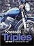 Kawasaki Triples Haynes Gre...