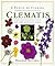 Clematis: And the Renuncula...
