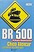 Br-500 by Chico Alencar