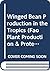 Winged Bean Production in the Tropics (Fao Plant Production & Protection Paper)