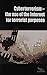 Cyberterrorism: The Use of ...