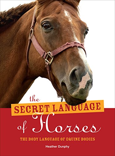 The Secret Language of Horses (Paperback)