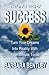 The Little Book of Success: Turn Your Dreams into Reality with Four Simple Tools