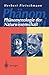 Phänomenologie der Naturwissenschaft: Wissenschaftstheoretische und philosophische Probleme der Physik (German Edition)
