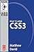 Picture Css3 (Visualizing the Web)