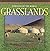 GRASSLANDS