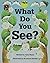WHAT DO YOU SEE?, SINGLE COPY, DISCOVERY PHONICS ONE
