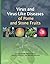 Virus and Virus-Like Diseases of Pome and Stone Fruits