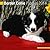 Border Collie Puppies 2013 Wall Calendar #10210-13