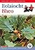 Eolaiocht Bheo - 2nd Class Pupil's Book (Irish Edition)