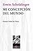 Mi Concepción del Mundo (Metatemas #16)