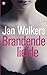 Brandende liefde
