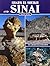 The Peninsula of Sinai