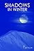 Shadows in Winter