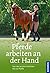 Pferde arbeiten an der Hand. Von den ersten Schritten bis zur Piaffe