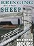 Bringing in the sheep by Rick Moore