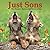 Just Sons: The Mischief, Mayhem and Marvel of Boys