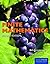 Finite Mathematics