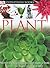 Plant (DK Eyewitness Books)